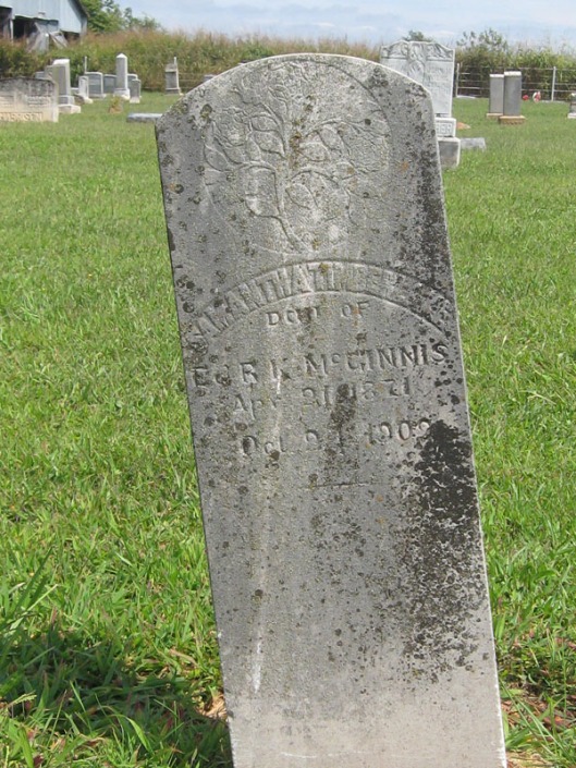 Samantha McGINNIS TimberlakeMy paternal 2nd great-grand auntHindsville Cemetery, Hindsville, Madison, Arkansas, USA
